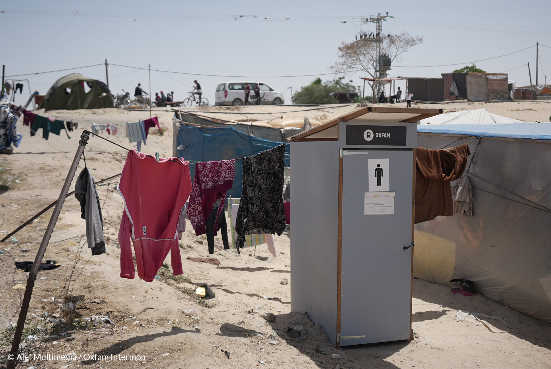 Día Mundial del Retrete